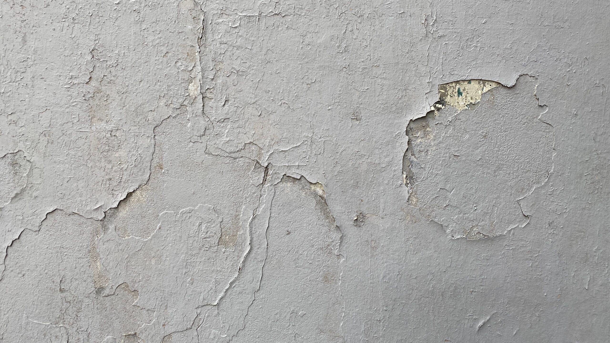 Mold remediation technician treating mold on drywall in an Arlington VA home